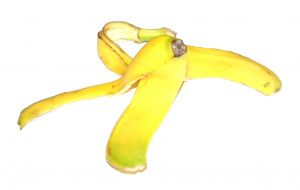 banana-peel-438203-m