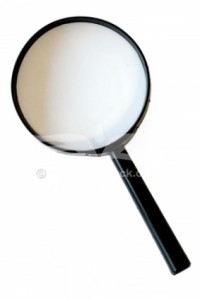 magnify-magnifying-glass-6264-l